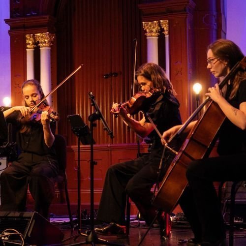 Strijkorkest Trio boeken | Swinging.nl